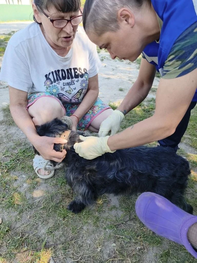 🐈 Ветеринарные будни специалистов ГБУ КО "Хвастовичская ветстанция".
⁣
 Вакцинация собак и кошек пр