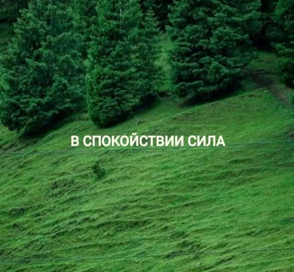 Спокойствие после йоги замечают даже новички. Именно ради него многие и начинают практику, давайте п