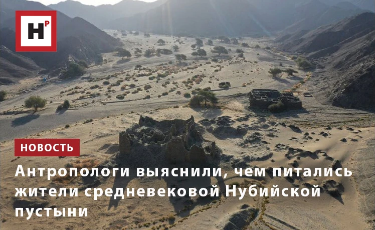 Ученые МГУ с коллегами обнаружили яйца кишечных паразитов в пробах почвы из могил людей...
