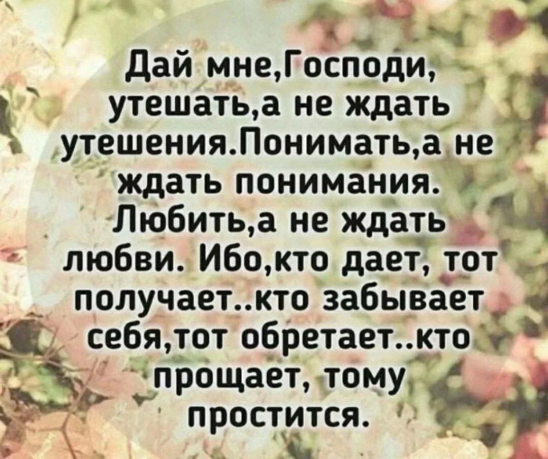 🕊🌿🌷🕊🌿🌷🕊🌿🌷