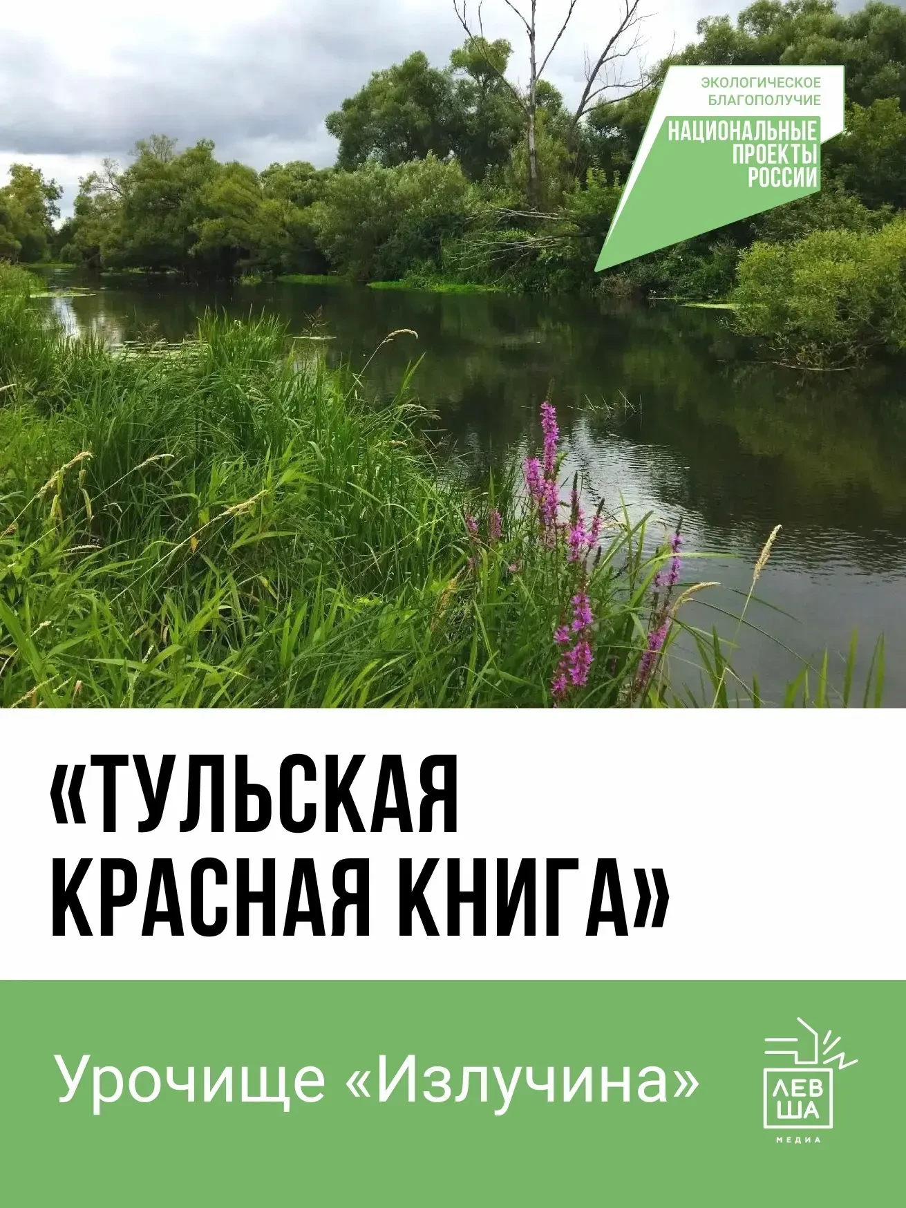 В Тульской области нашли место, где живет редкая бабочка из семейства толстоголовок