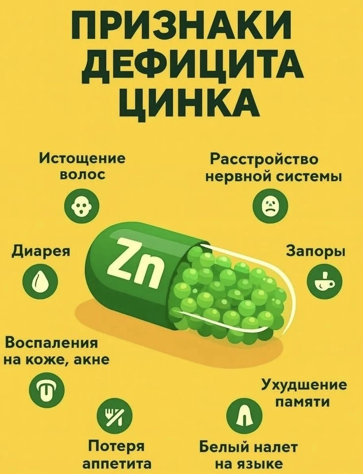 Цинк — минерал иммунитета и красоты 🛡️