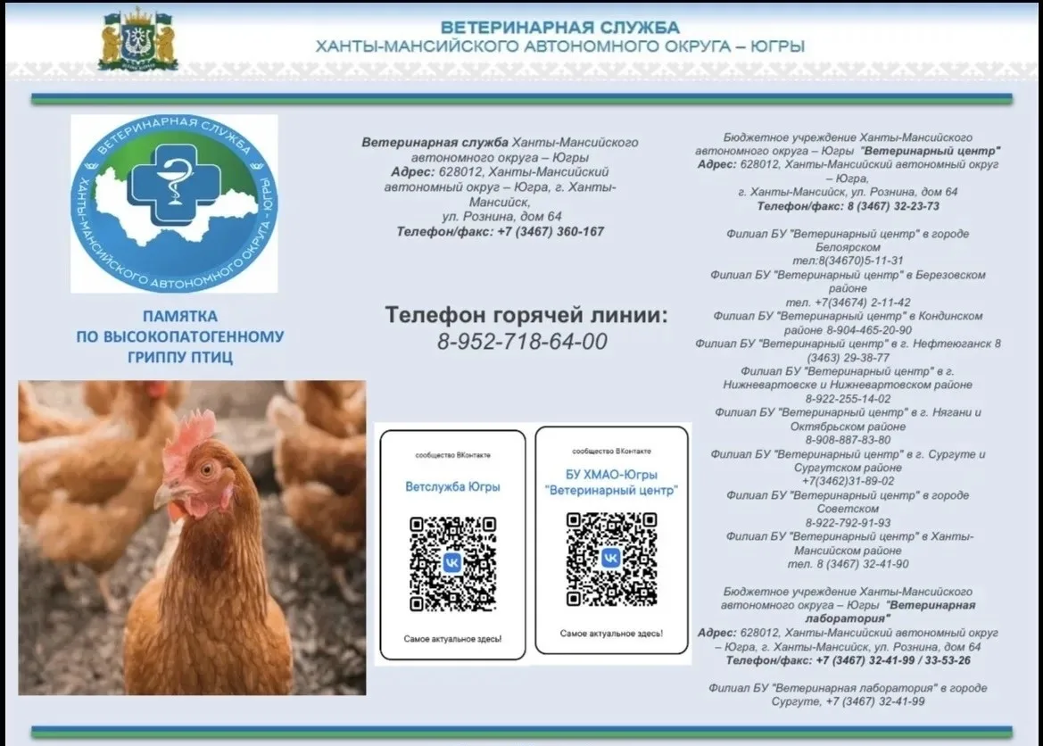 Ветеринарная служба Югры информирует о высокопатогенном гриппе птиц. О мерах профилактики смотрите в