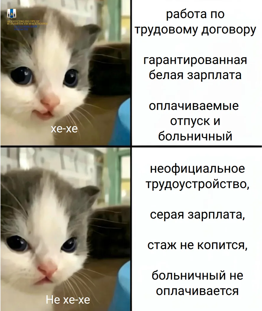 Ничего писать не будем, всё самое важное – уже на картинке.