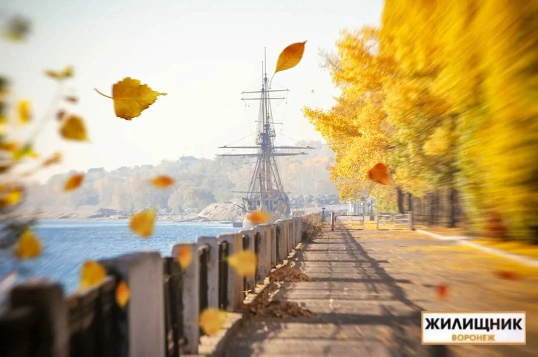 🗓️ Афиша мероприятий на выходные (5-6 сентября):