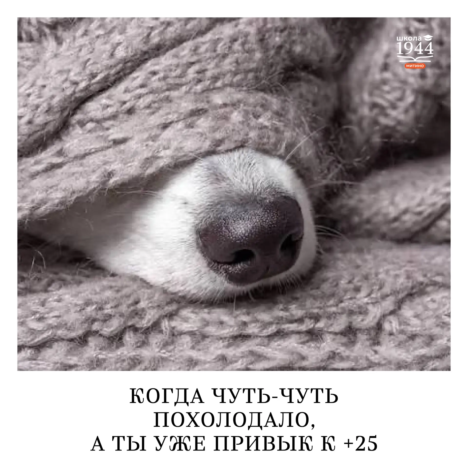 Никакой стабильности! 🥶
