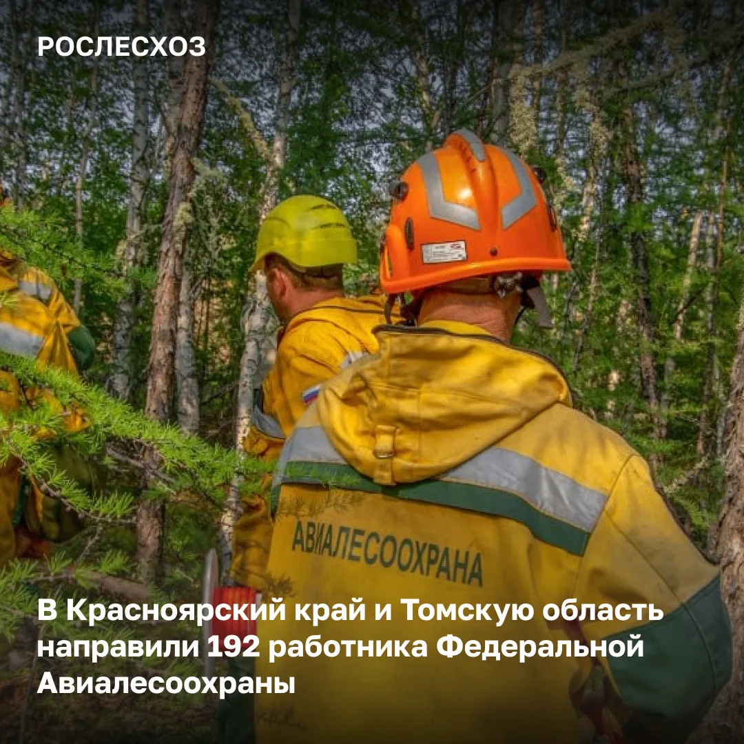 🟢 На 11:00 мск 10 июня в России на землях лесного фонда тушат 82 лесных пожара на площ...