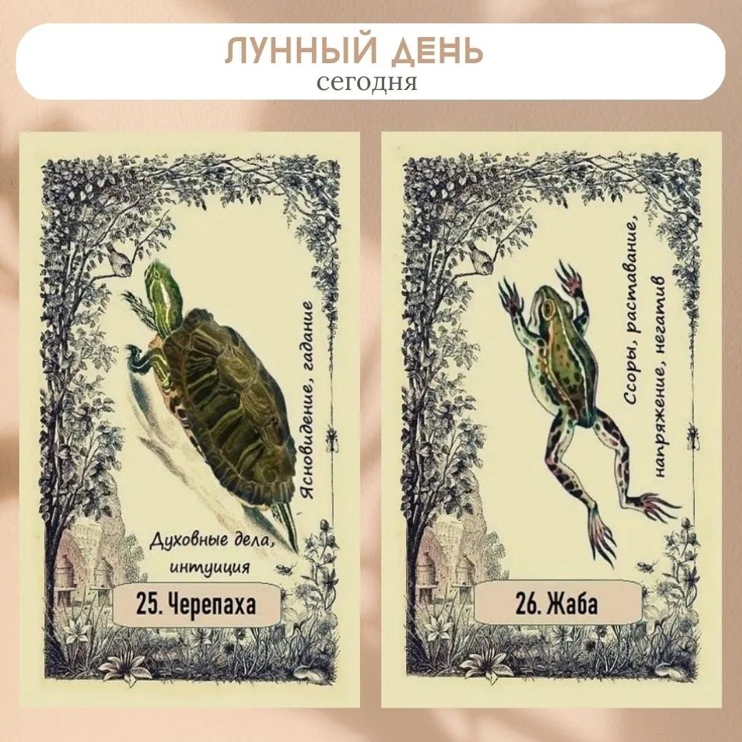 Сегодня 6 сентября 2026, 25-26 лунный день.