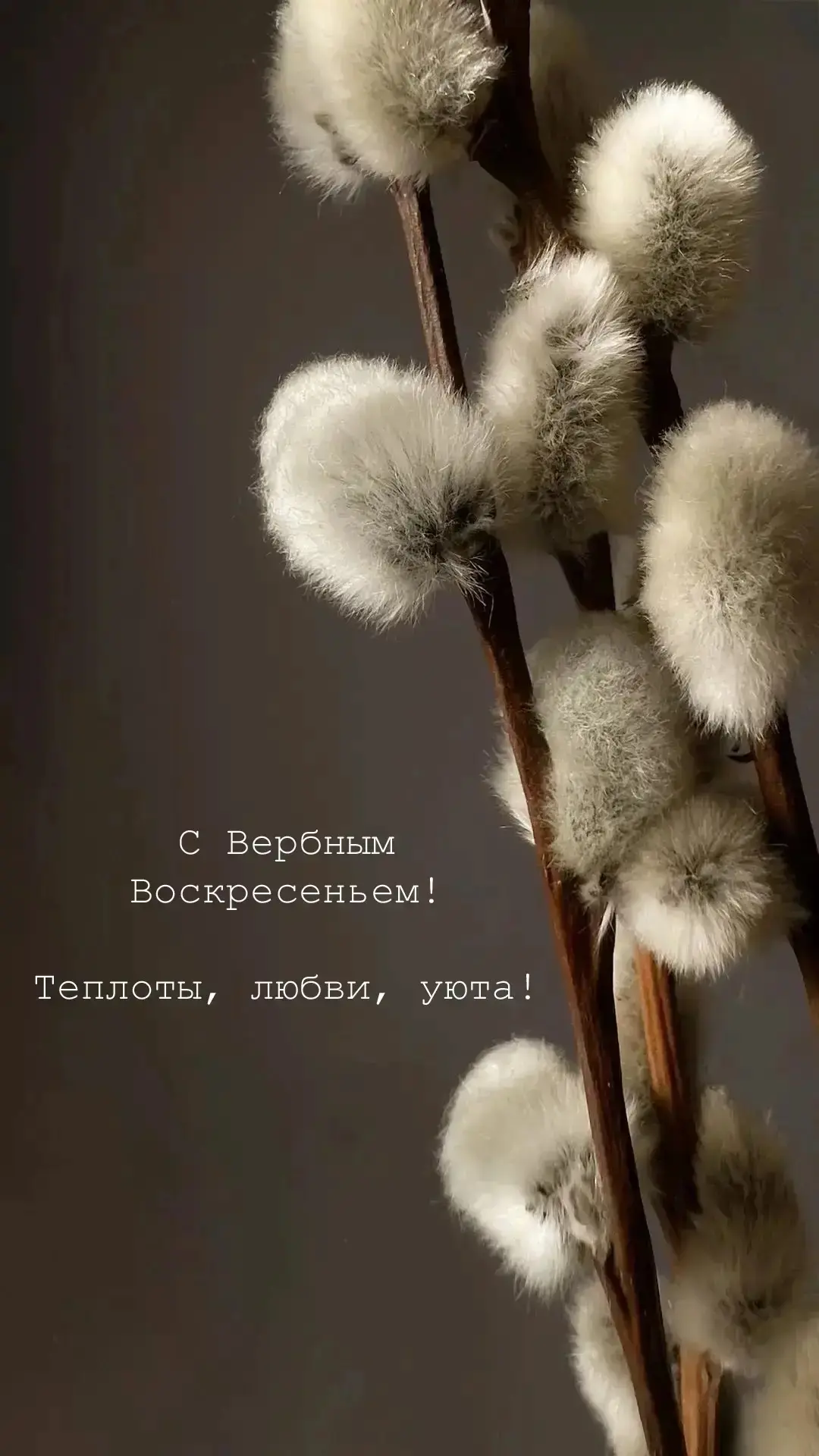 Поздравляю всех православных жителей нашего округа с Вербным Воскресеньем!