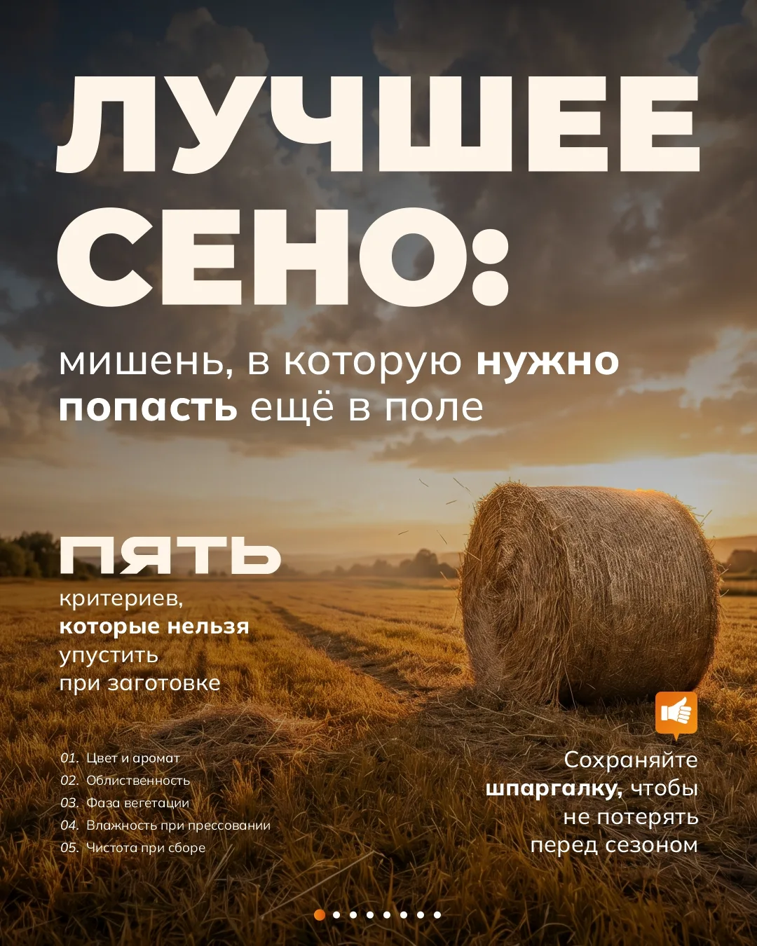 🔥 Сено, за которое не стыдно перед стадом
