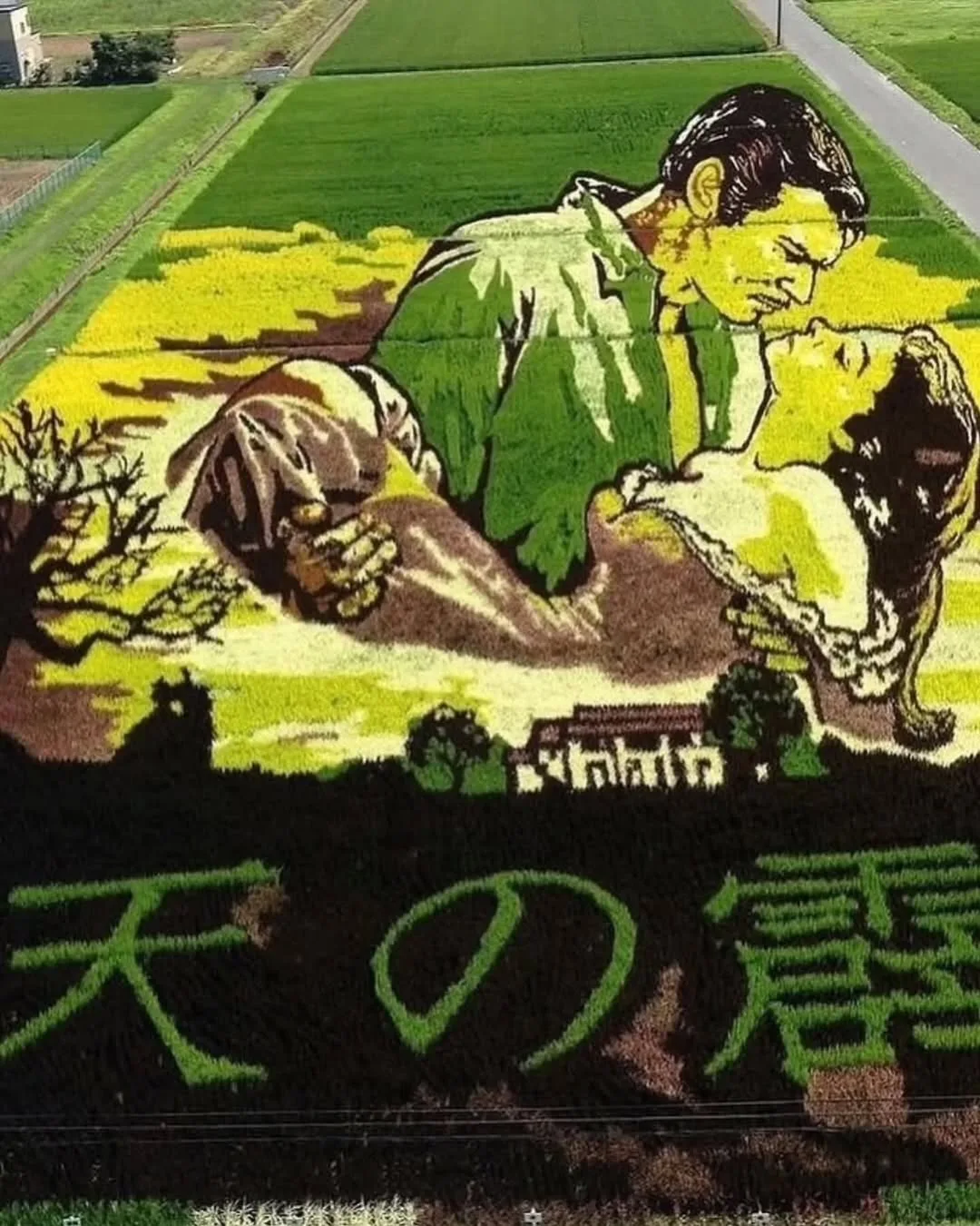 🇯🇵 Узнал недавно, что в Японии существует такая необычная история как танбо-арт. 

В чем суть: вме