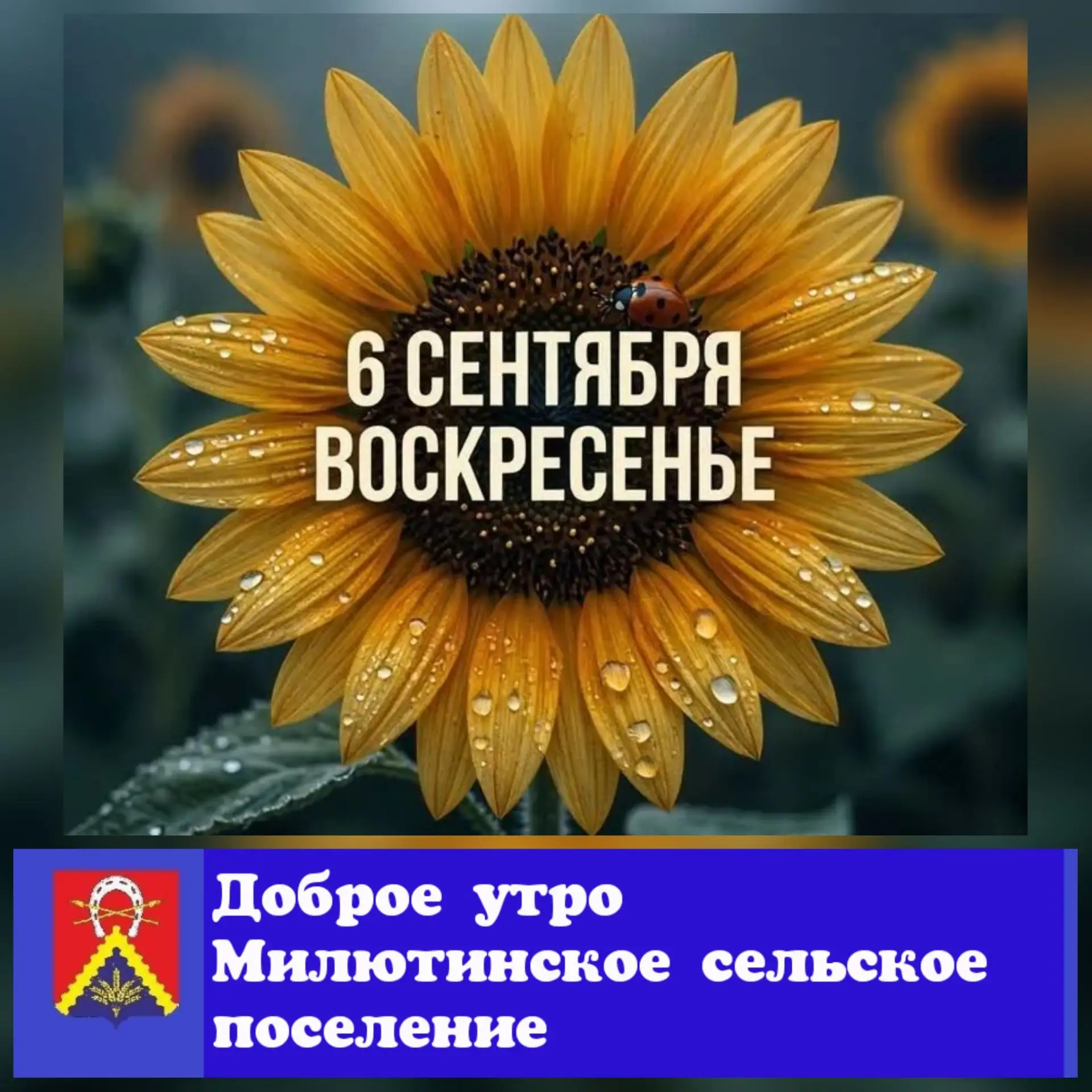 🤩Желаем,чтобы утро подарило чудесное настроение, заряд и бодрость на весь день, и кучу...
