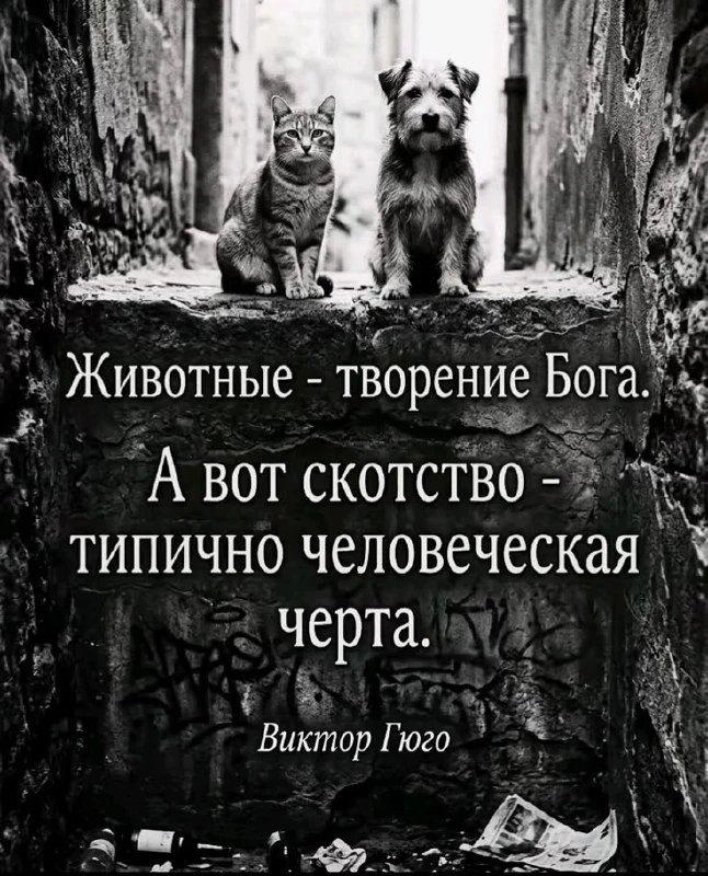 ⁣⁣🚨

Цитаты  - Пoдписаться