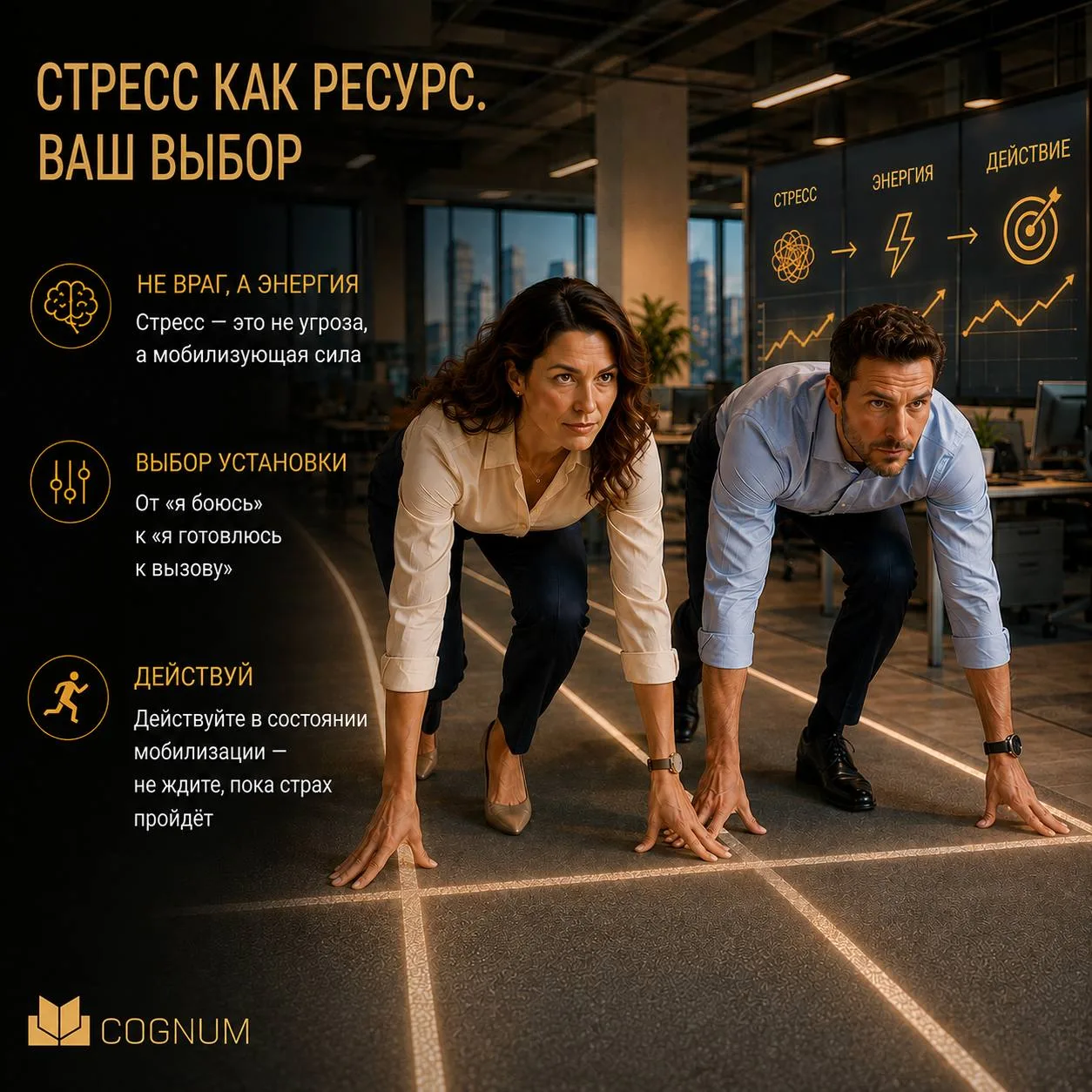 Стресс как ресурс. Ваш выбор.