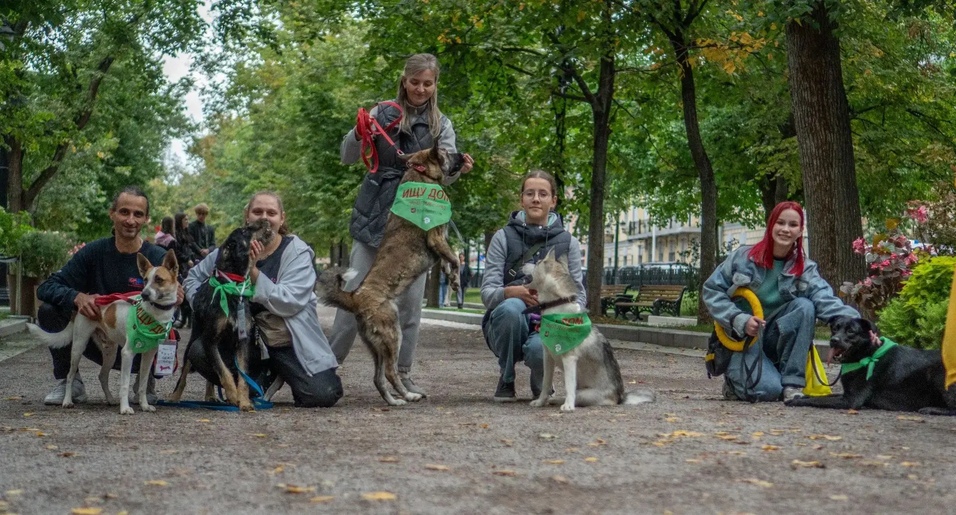 🐾 27-30 августа проходит фестиваль "Моспитомец × Четвероногий друг". В четверг в фести...