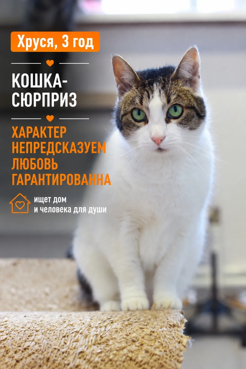 С Хрусей никогда не знаешь, что будет через минуту. И в этом вся прелесть!