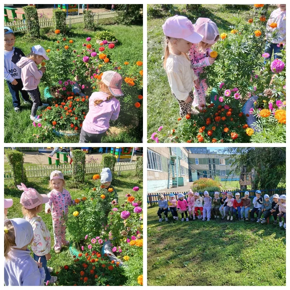 В группе «Улыбка» прошёл «День цветов»: малыши изучали растения на клумбе, учились разл...