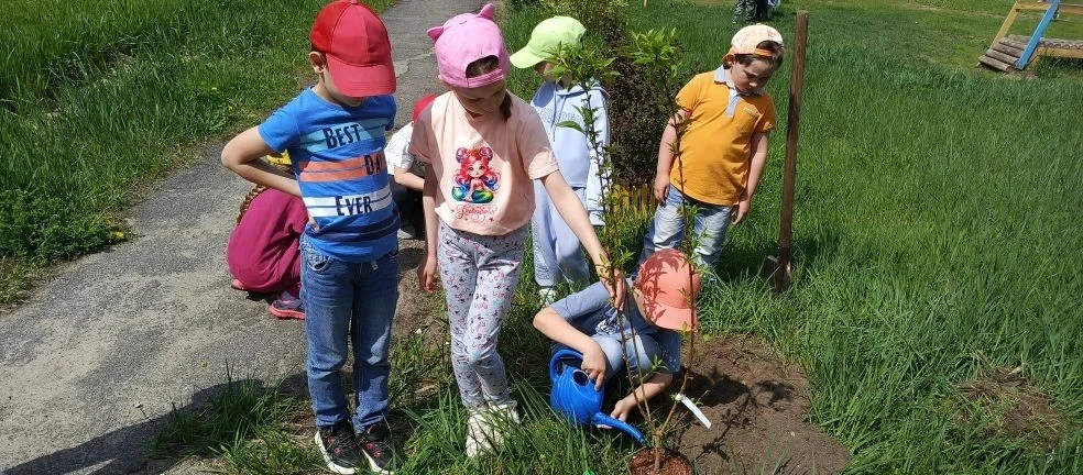 🪴 Сегодня наша  "Аллея выпускников" увеличилась! ❗Уже несколько лет в нашем саду есть традиция - вы