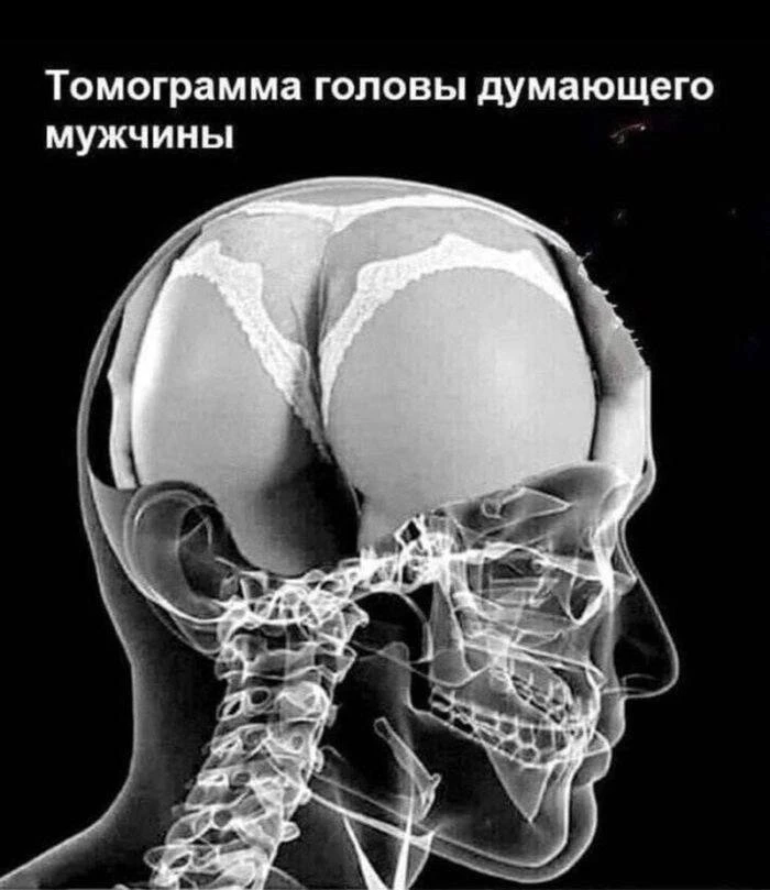 Медицинский юмор