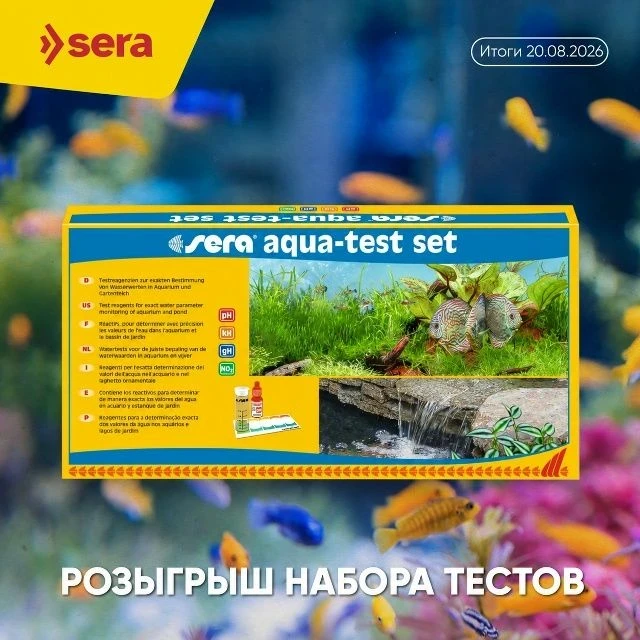 🎁 Розыгрыш набора тестов