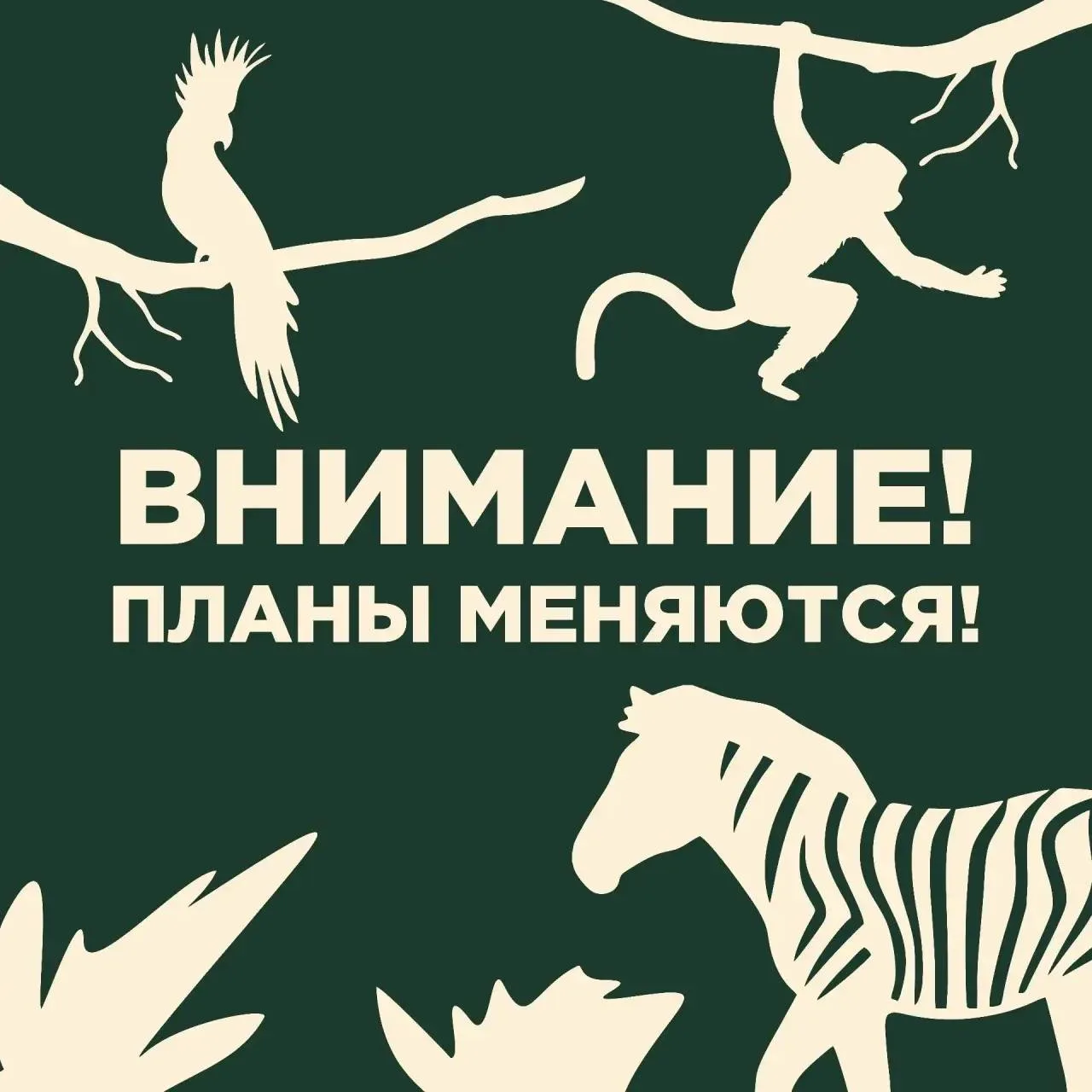В калининградском зоопарке перенесли косплей-фестиваль «Мимикрия»🦎