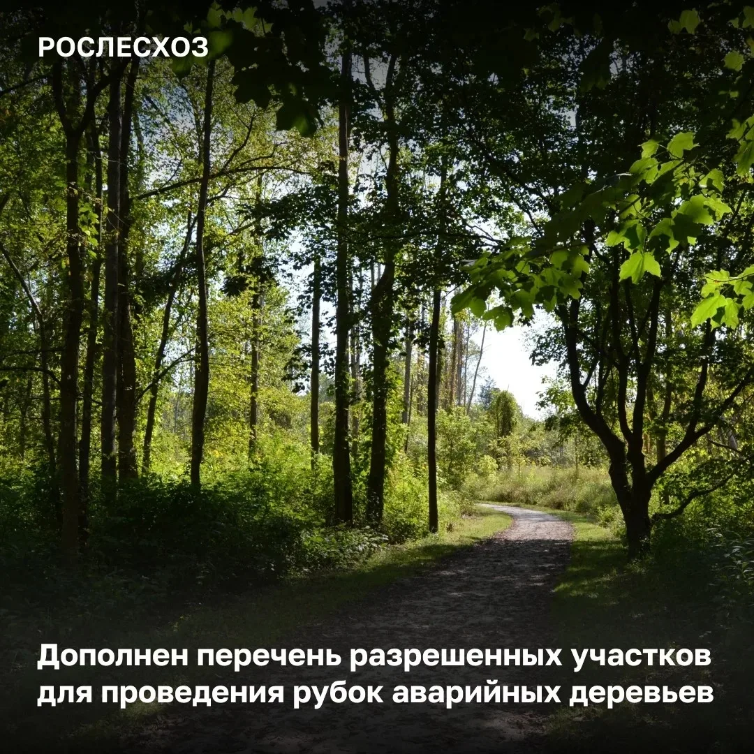 🟢 С 1 сентября 2026 года вступают в силу новые Правила осуществления мероприятий по предупреждению 