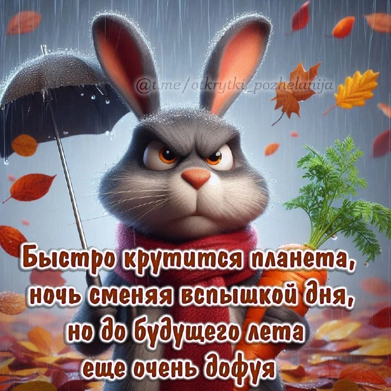 Открытки: подписаться ❤️