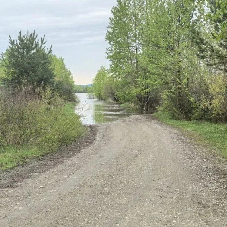 🌊 Иркут попёр: река поднялась почти на 2 метра за сутки  После ливней вода резко пошла вверх. Сейчас