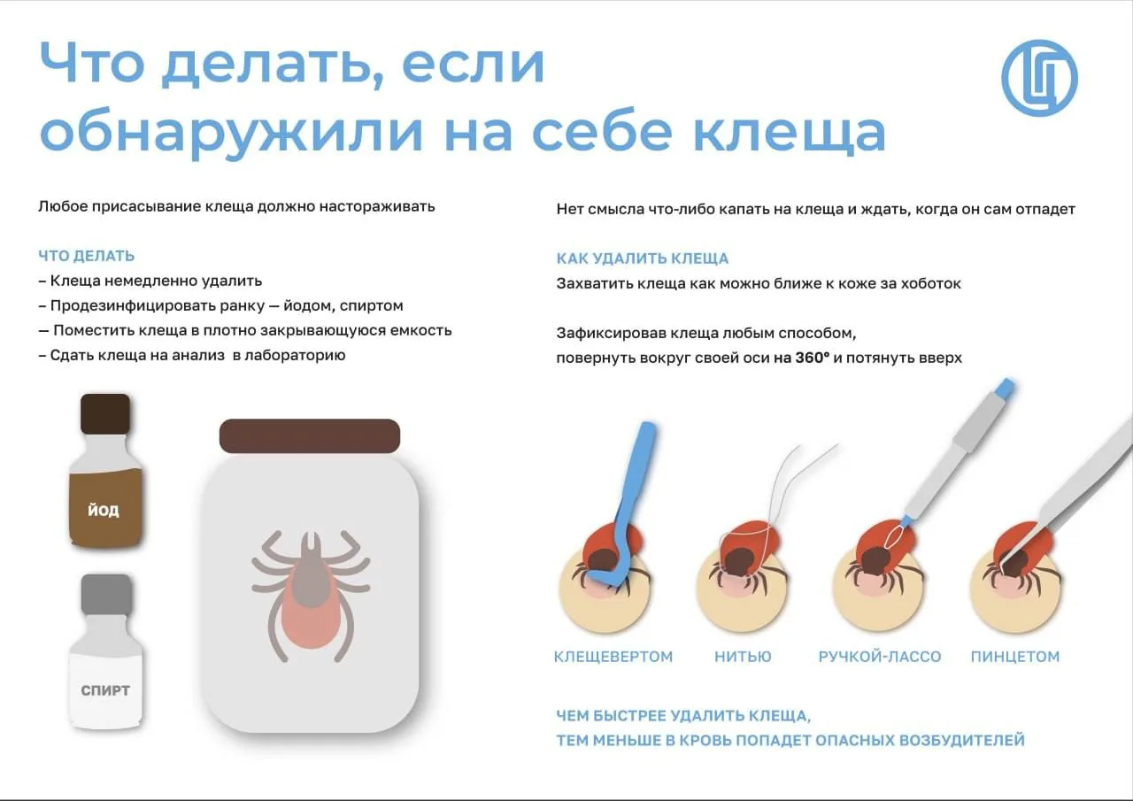 🌙 Важная информация на ночь глядя