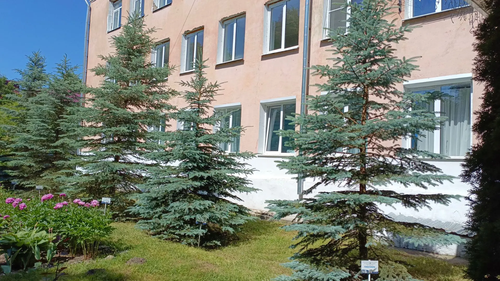 #Добрые дела.
Одиннадцать лет назад, в мае 2015 года, в канун 70- летия Великой Победы в школе-интер