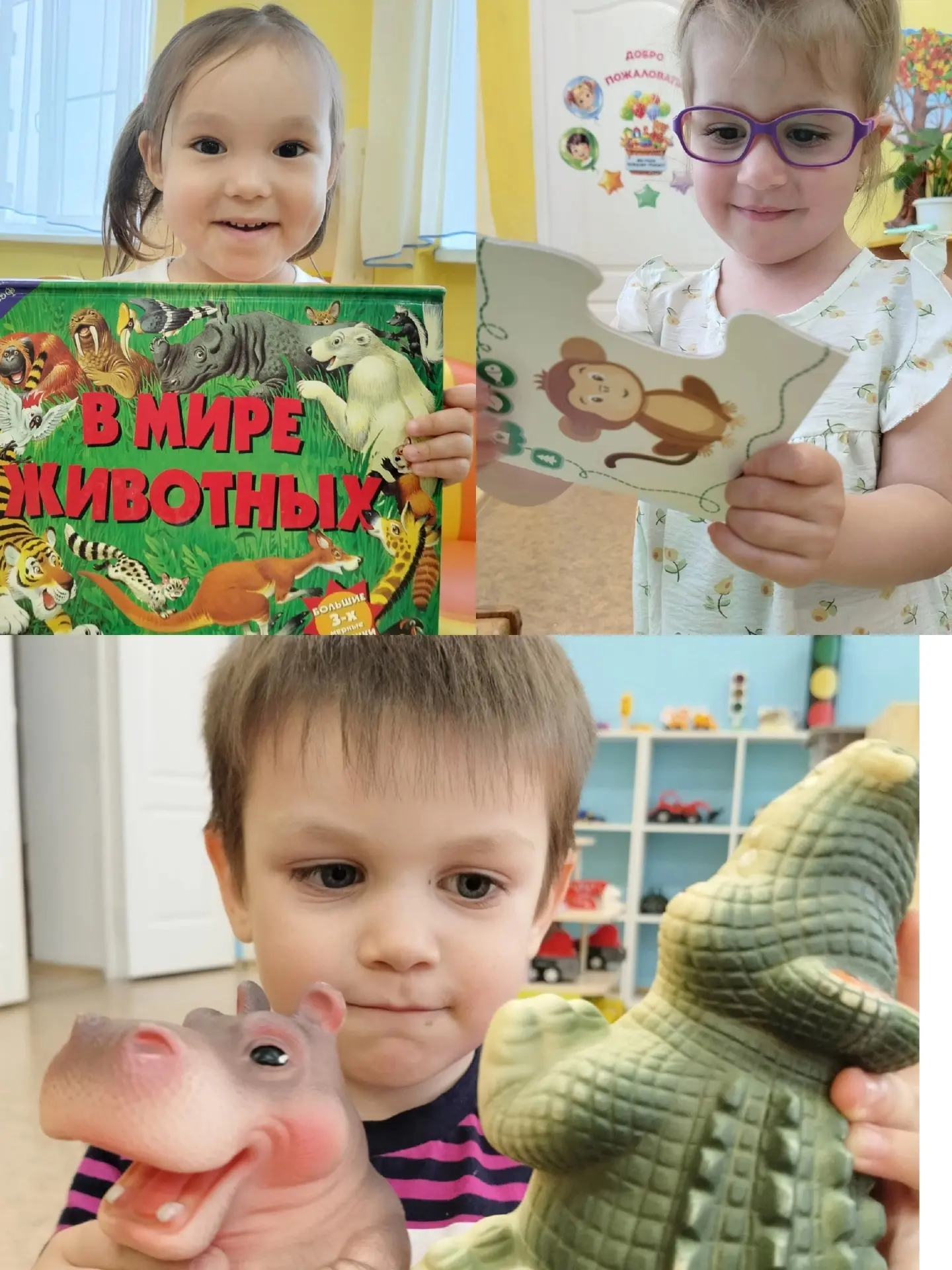 🐾 Животный мир 🐾