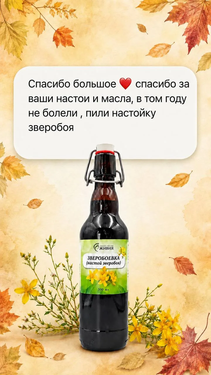 Осень уже чувствуется, заметили? 🍂🌿