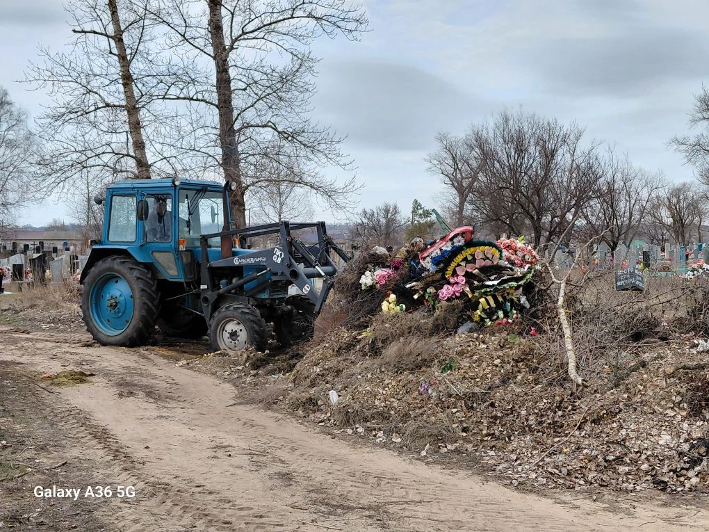 Здравствуйте, дорогие петропавловцы!