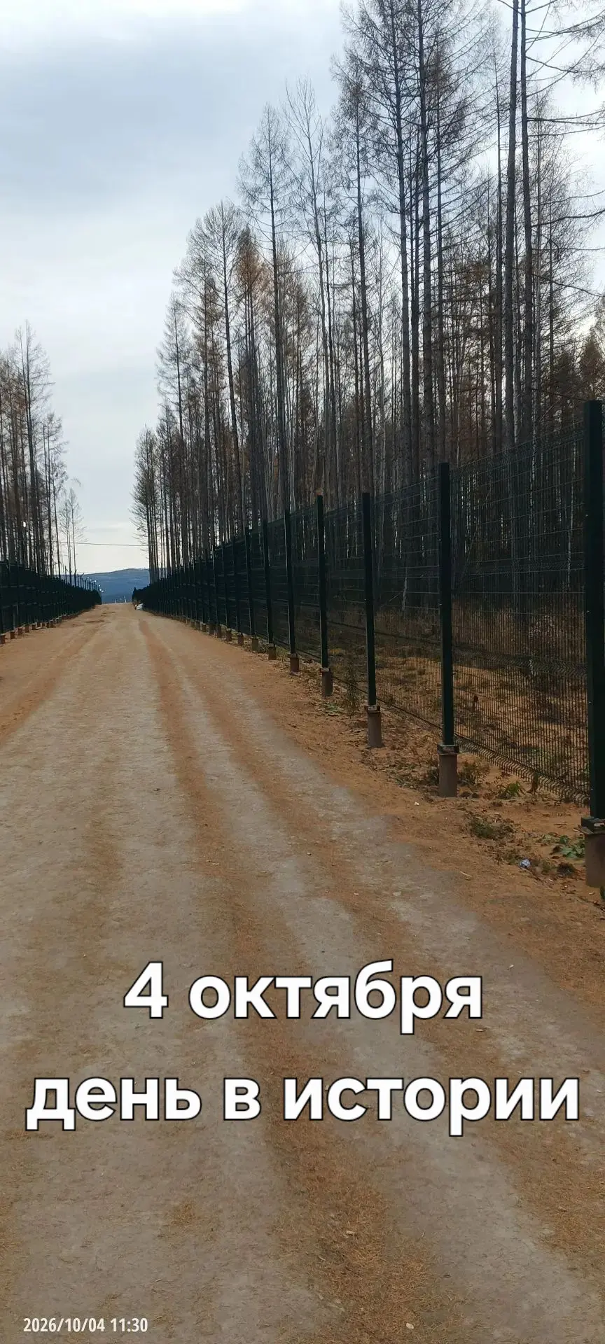 А знаете ли вы, что ❓