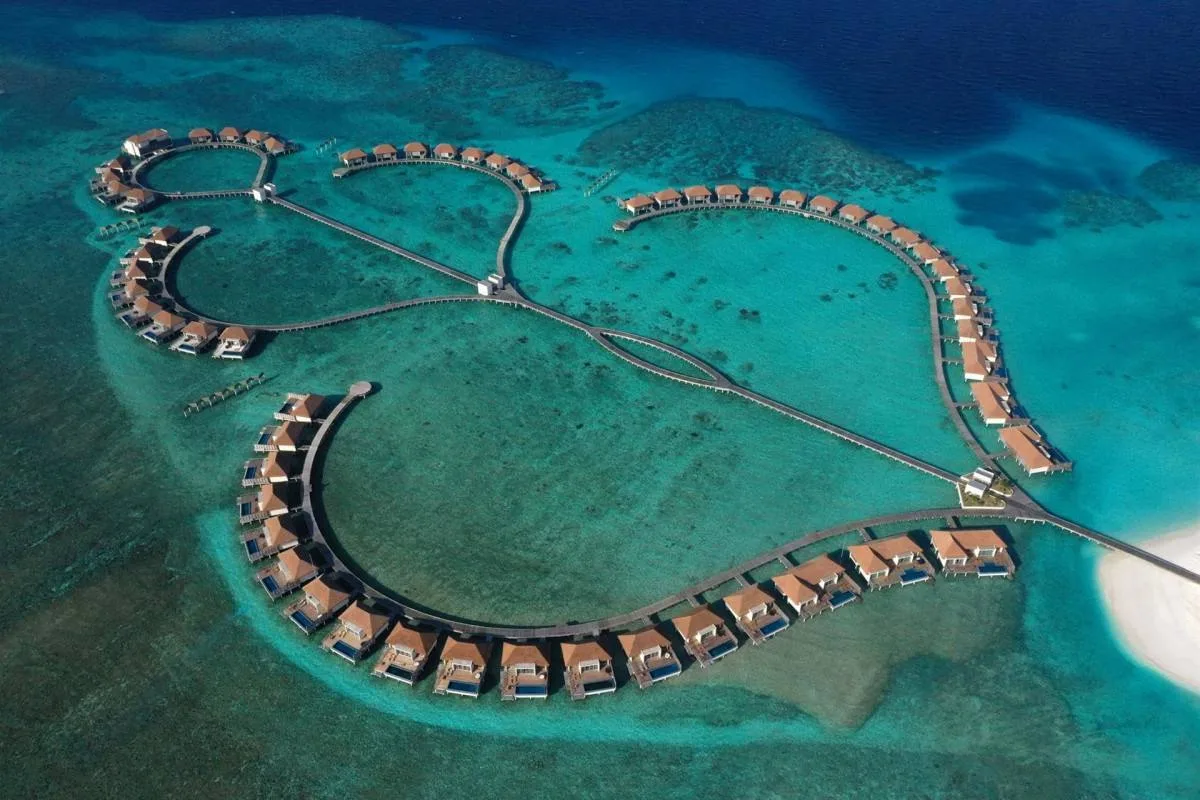 Готовим сани осенью : новогодняя программа от Radisson Blu Resort Maldives🇲🇻🎄