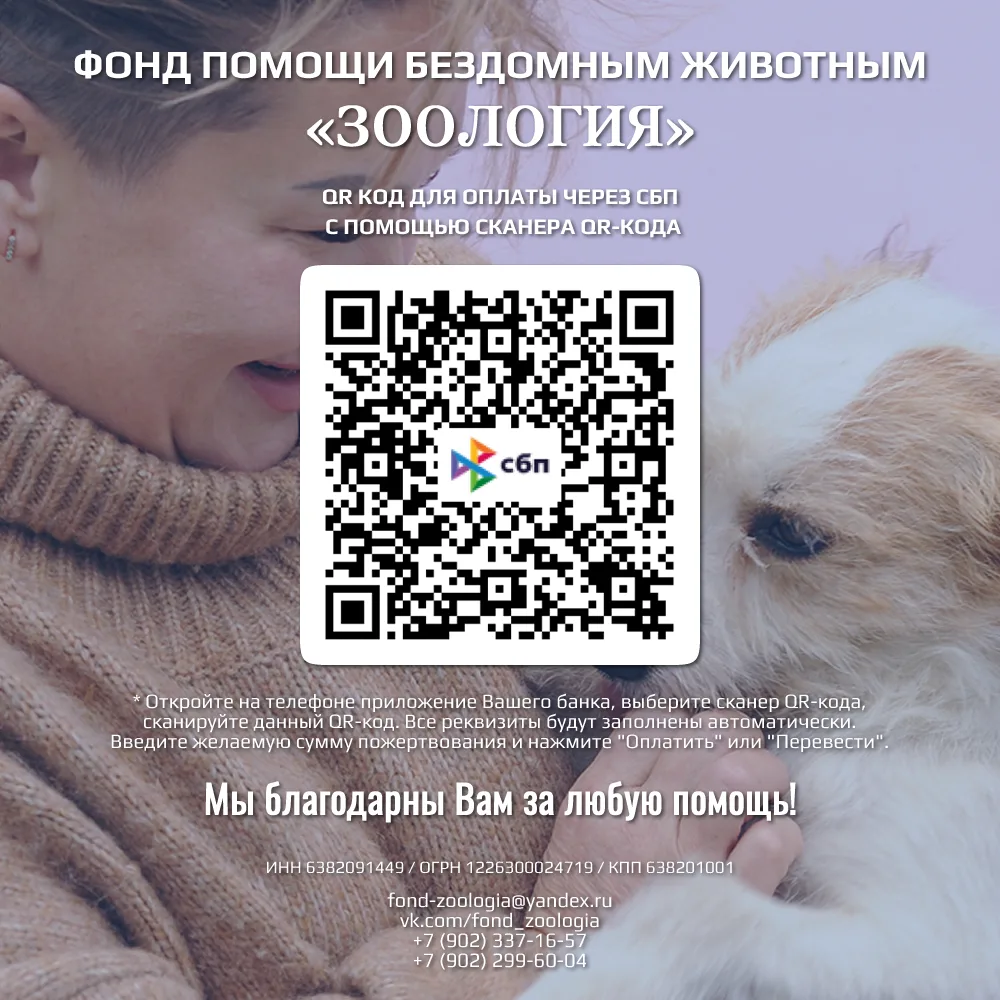⚡ Друзья, в приюте «HELP TLT» новый подопечный. На Молодёжном бульваре сбили собаку. Мы...