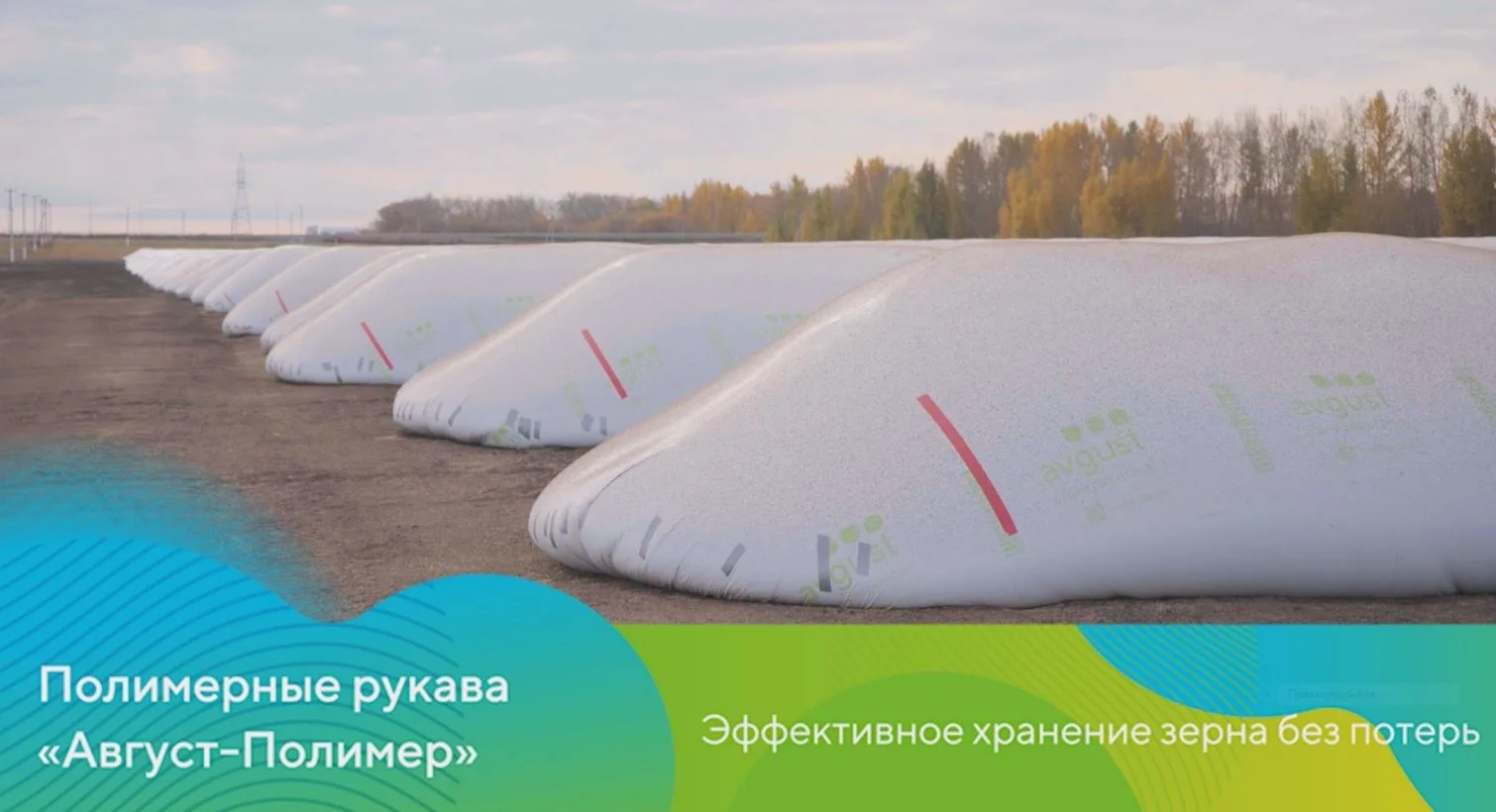 Дорогие друзья!