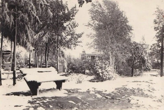 Парк культуры и отдыха поселка Дземги 1957_й год, зима. На втором фото того же 57-го го...