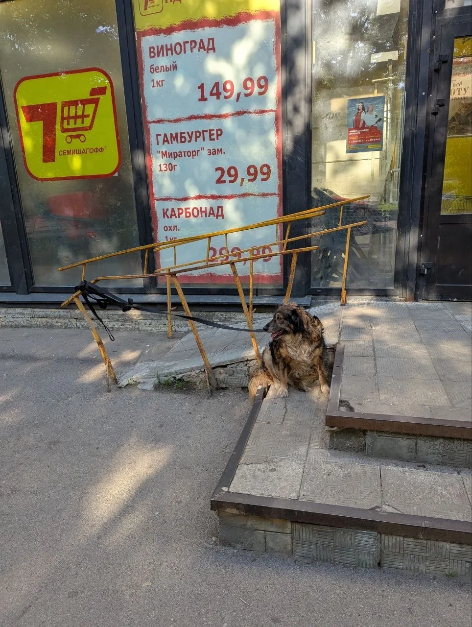 Подписчик пишет: