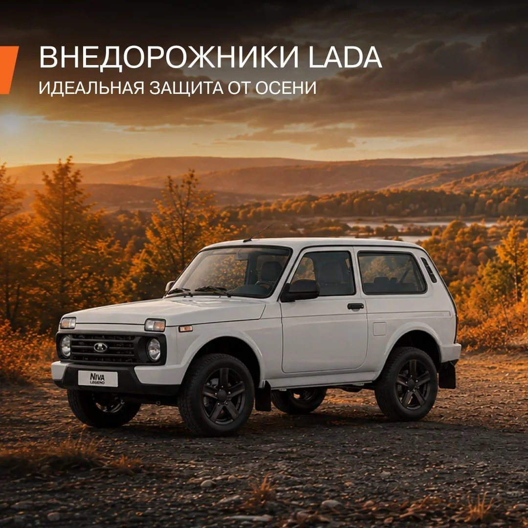 Осень меняет цвет листьев, а ещё состояние дорог 🍁