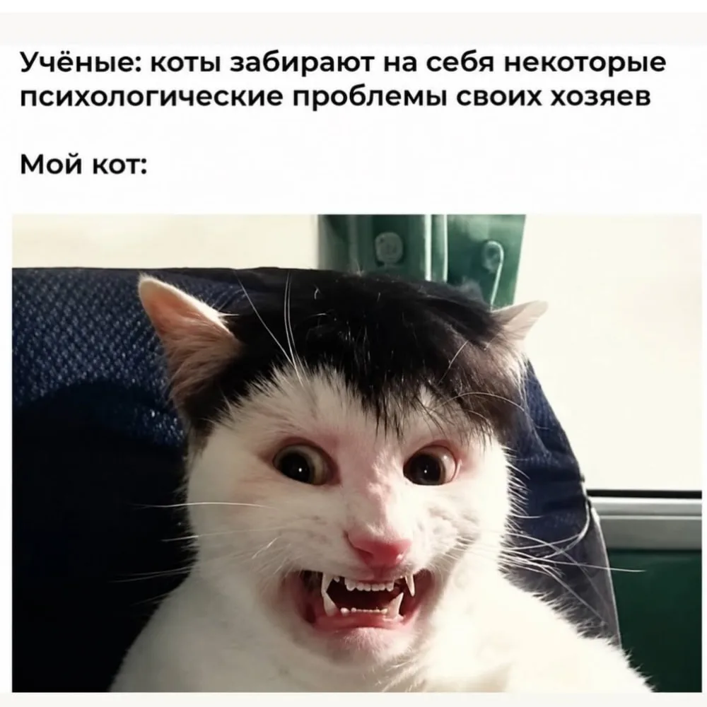 Спасибо за реакции — очень ценю!