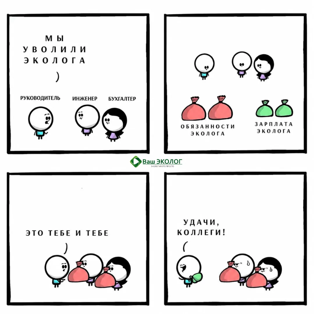 😐 «Вы же инженер, займитесь ещё экологией!»