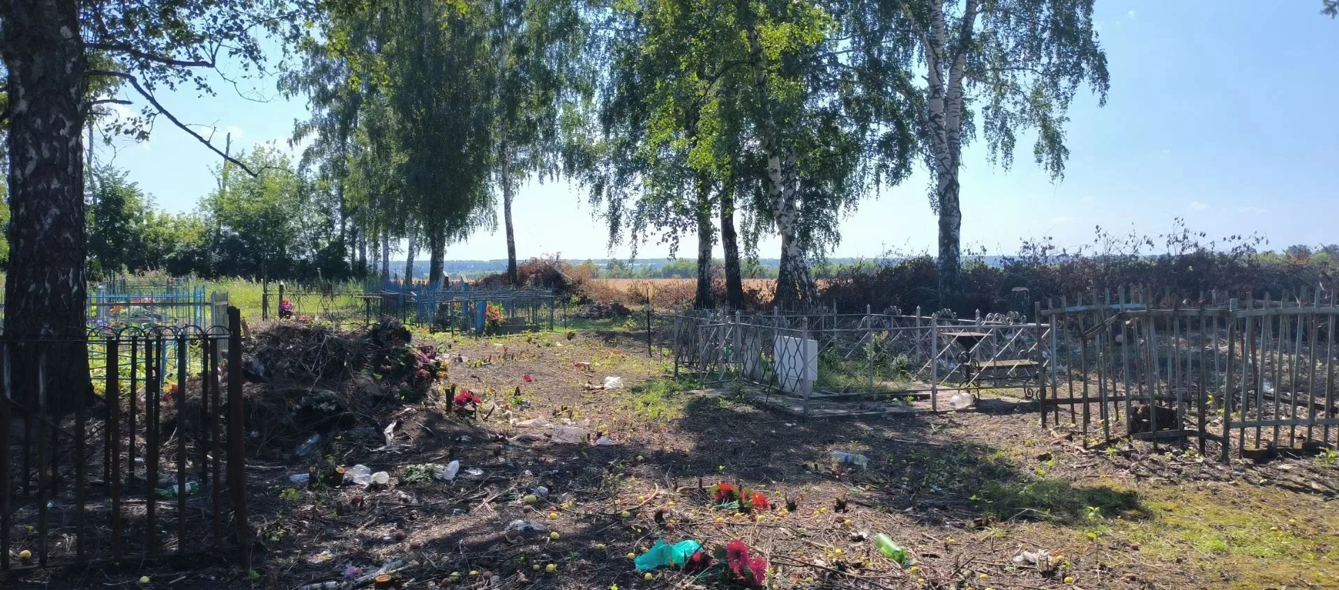 В селе Мармыжи Краснодолинского сельсовета, проведены работы по благоустройству террито...