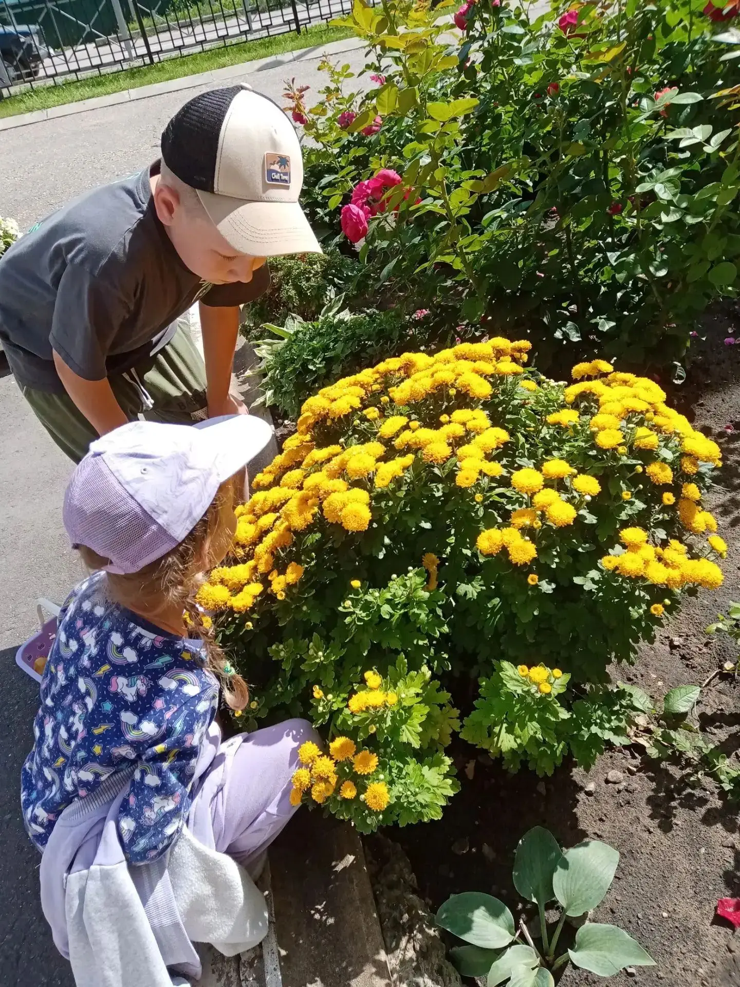 🌞🌻🌼🌸☀Лето — одно из самых благоприятных времён года для наблюдений за растениями. Ц...
