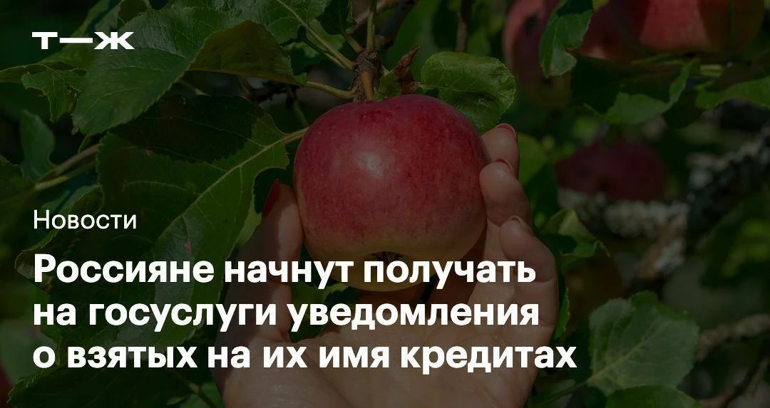 Оповещения будут приходить на госуслуги в течение 45 минут после подписания договора.

В тексте буду