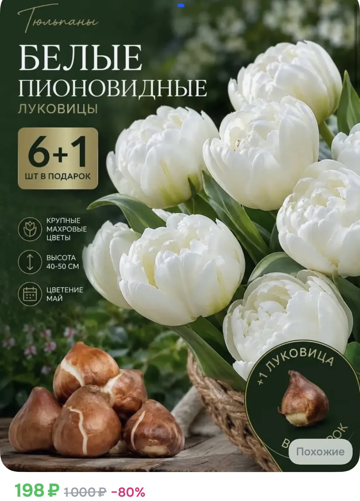 198₽ Тюльпаны луковицы 7 штук Белые Пионовидные