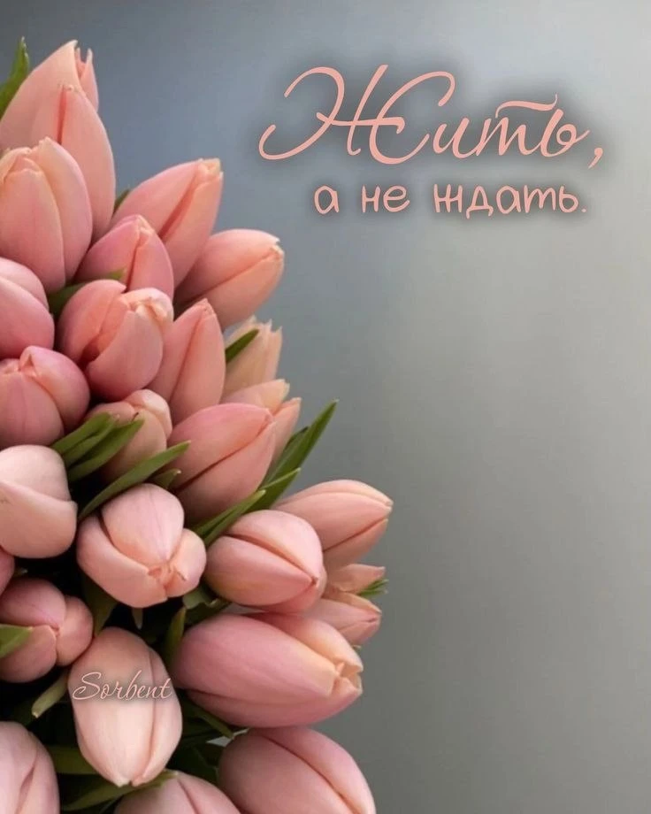 🥰 Оставляйте реакции, если понравилась открытка и делитесь с близкими ❤️