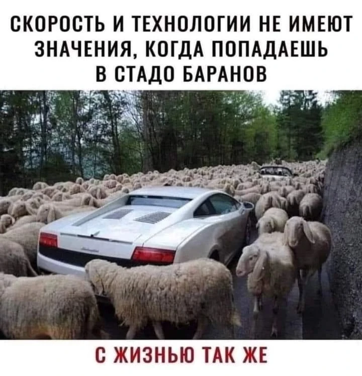 🎭  Юмор по ГОСТу...