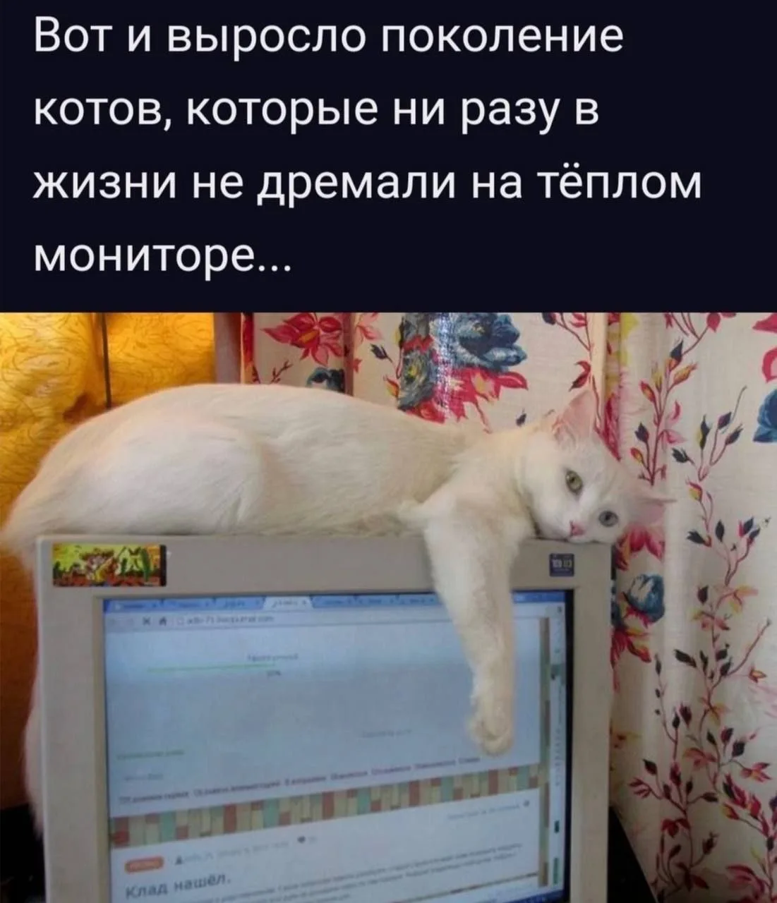 @office_story