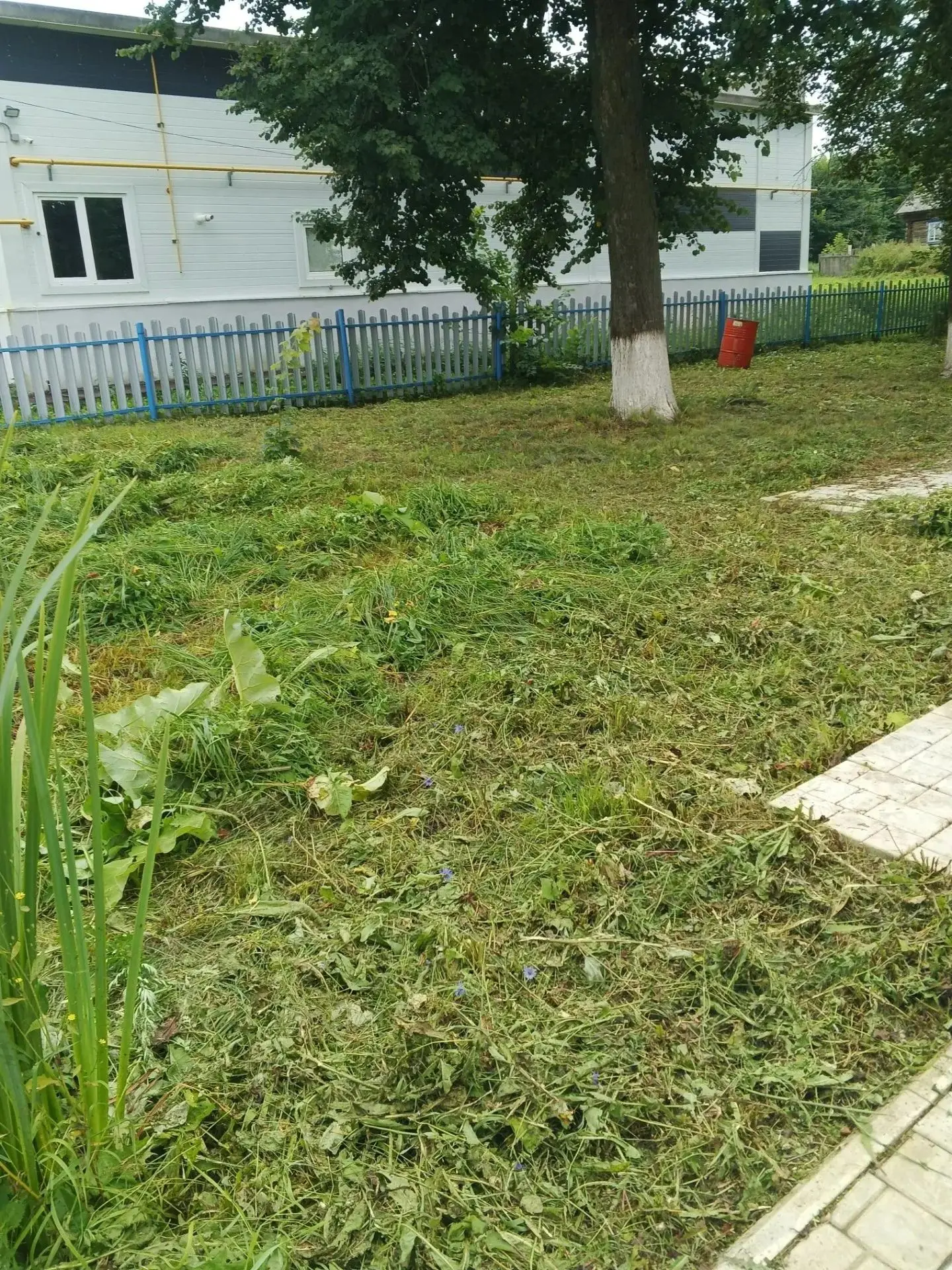 🌿 Борьба с сорной растительностью: держим село в порядке! 🌿Лето — время активного рос...